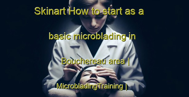 Skinart How to start as a basic microblading in Bouchereau area | MicrobladingTraining | MicrobladingClasses | SkinartTraining-France